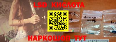 прущие грибы Будённовск