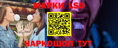 прущие грибы Будённовск