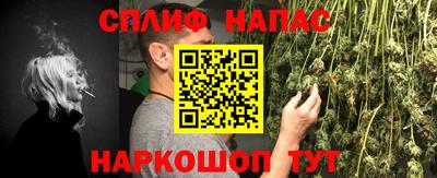 прущие грибы Будённовск