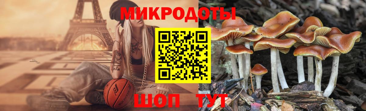 Галлюциногенные грибы мухоморы  как найти закладки  Старый Оскол  Псилоцибиновые грибы Psilocybe  Вход с VPN 